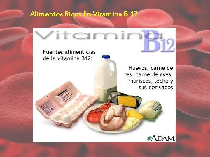 Alimentos Ricos En Vitamina B 12 Alimentos Ricos En Vitamina B 12