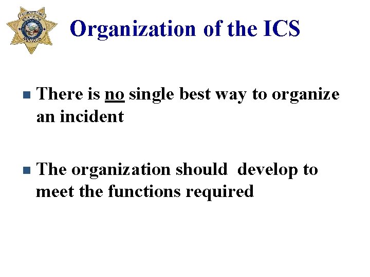 Organization of the ICS n There is no single best way to organize an