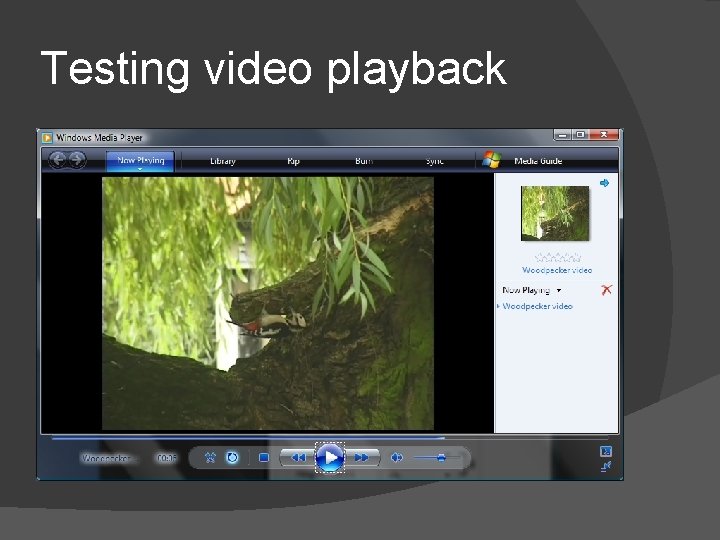 Testing video playback 