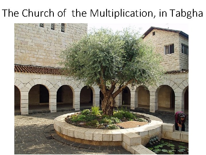 The Church of the Multiplication, in Tabgha 