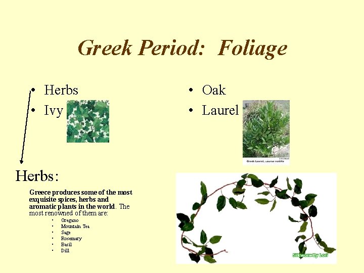 Greek Period: Foliage • Herbs • Ivy Herbs: Greece produces some of the most