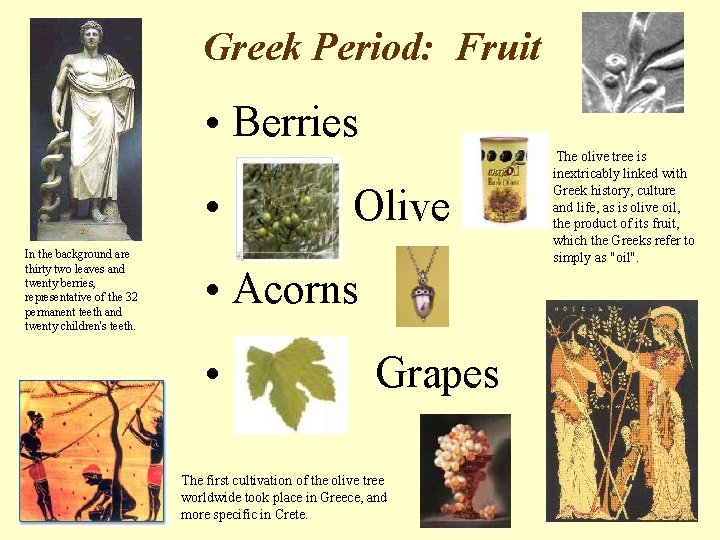 Greek Period: Fruit • Berries The olive tree is • Olive In the background