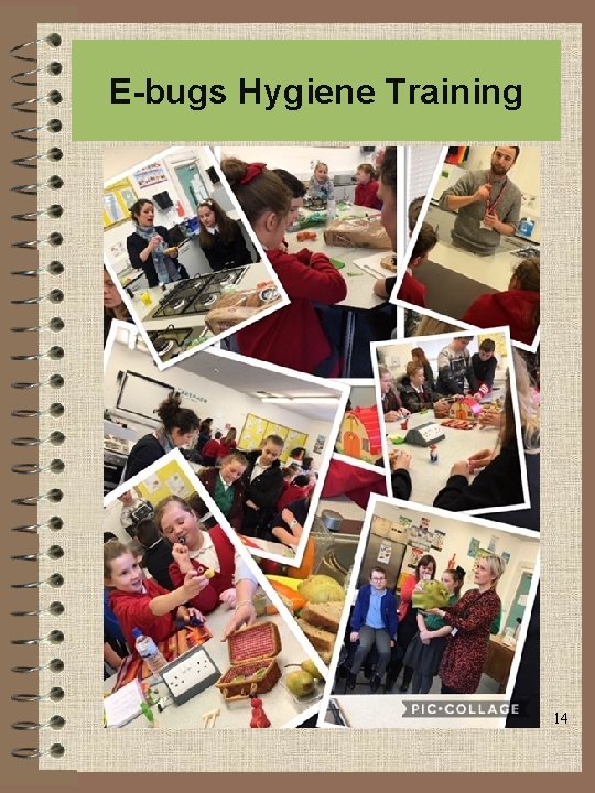 E-bugs Hygiene Training 14 