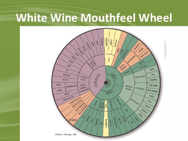 White Wine Mouthfeel Wheel 