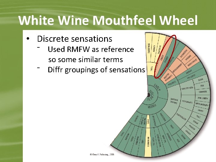 White Wine Mouthfeel Wheel • Discrete sensations ⁻ Used RMFW as reference so some