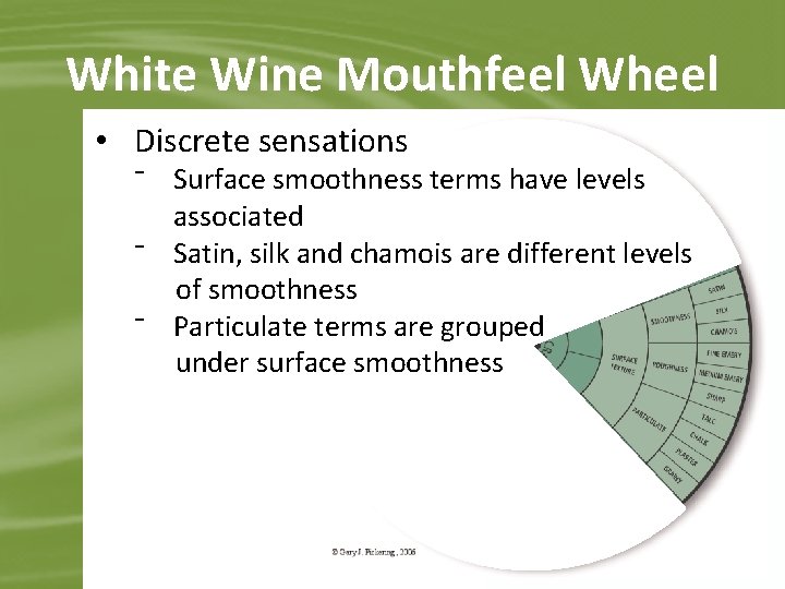 White Wine Mouthfeel Wheel • Discrete sensations ⁻ Surface smoothness terms have levels associated
