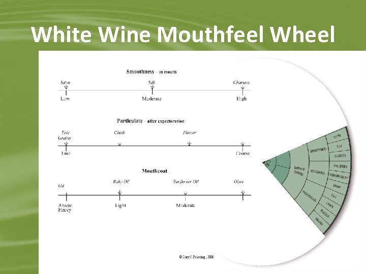 White Wine Mouthfeel Wheel 