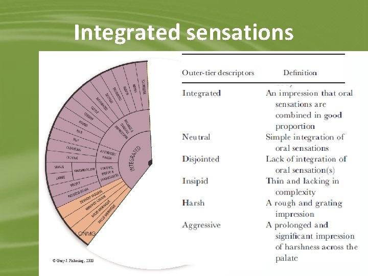 Integrated sensations 