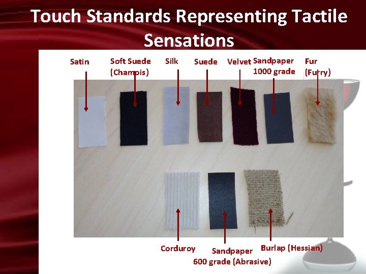 Touch Standards Representing Tactile Sensations Satin Soft Suede (Chamois) Silk Suede Velvet Sandpaper 1000