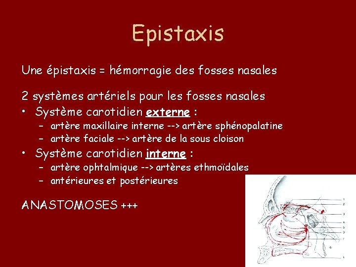 Epistaxis Une épistaxis = hémorragie des fosses nasales 2 systèmes artériels pour les fosses