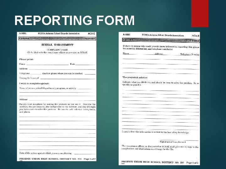 REPORTING FORM REPORTING FORM