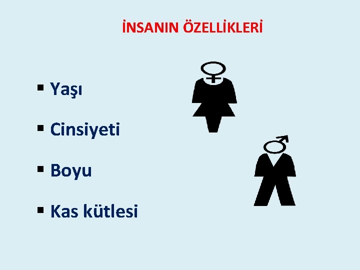 İNSANIN ÖZELLİKLERİ § Yaşı § Cinsiyeti § Boyu § Kas kütlesi İNSANIN ÖZELLİKLERİ § Yaşı § Cinsiyeti § Boyu § Kas kütlesi