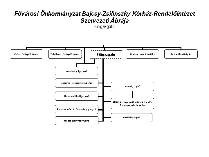 Fővárosi Önkormányzat Bajcsy-Zsilinszky Kórház-Rendelőintézet Szervezeti Ábrája Főigazgató Kórházi felügyelő tanács Tulajdonosi felügyelő tanács Főigazgató