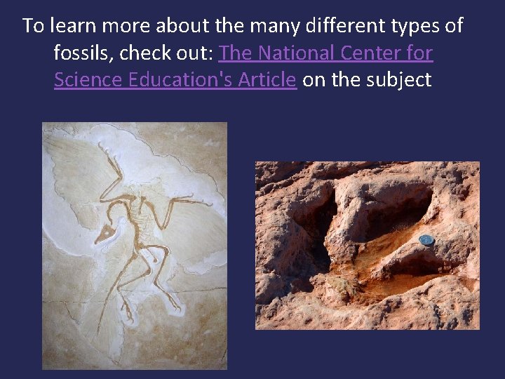 To learn more about the many different types of fossils, check out: The National