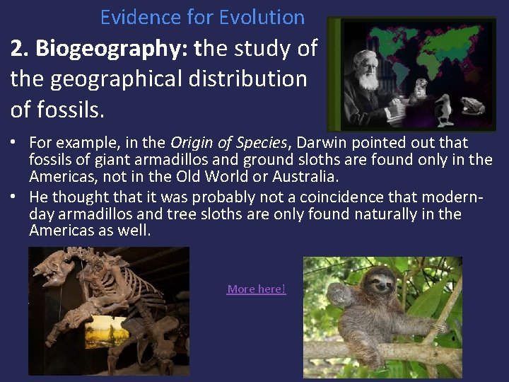 Evidence for Evolution 2. Biogeography: the study of the geographical distribution of fossils. •