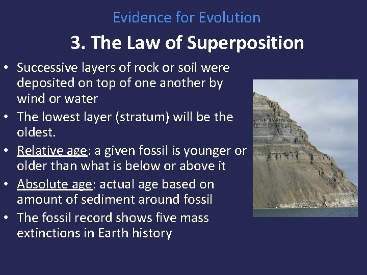 Evidence for Evolution 3. The Law of Superposition • Successive layers of rock or