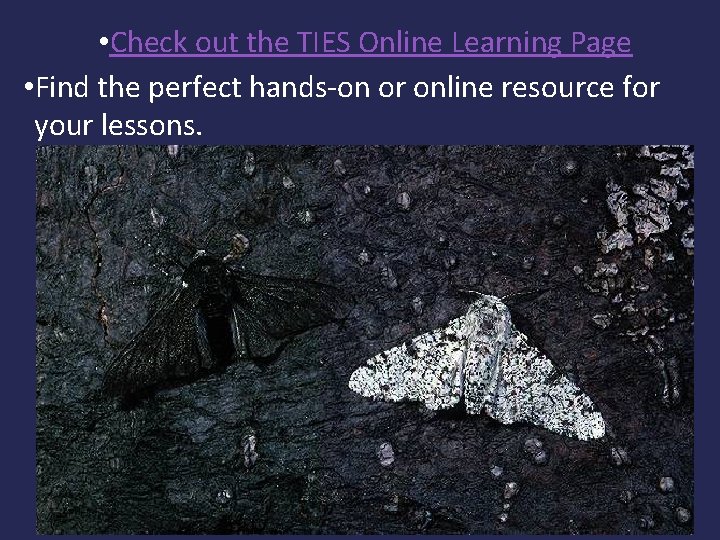  • Check out the TIES Online Learning Page • Find the perfect hands-on