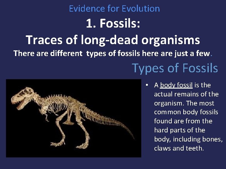  Evidence for Evolution 1. Fossils: Traces of long-dead organisms There are different types