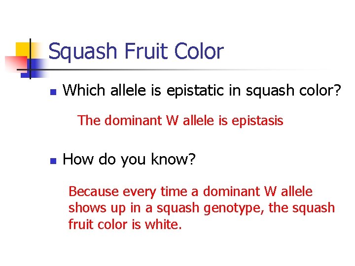Squash Fruit Color Which allele is epistatic in squash color? The dominant W allele