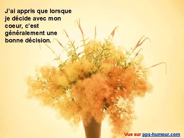 J’ai appris que lorsque je décide avec mon coeur, c’est généralement une bonne décision.