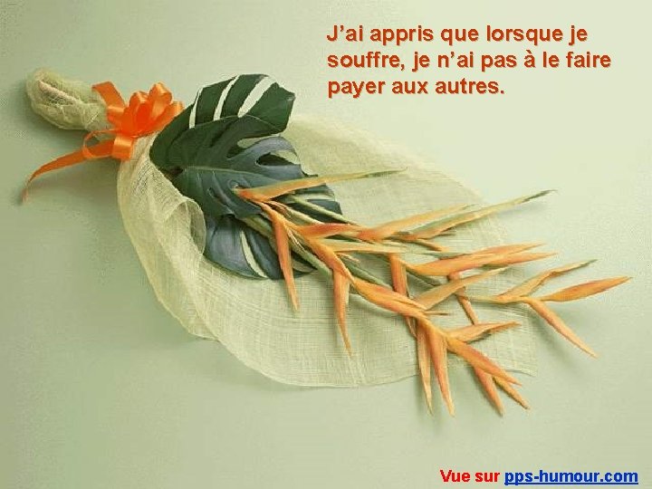 J’ai appris que lorsque je souffre, je n’ai pas à le faire payer aux