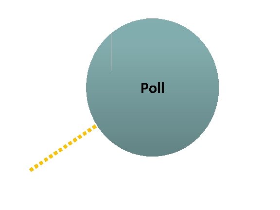 Poll 