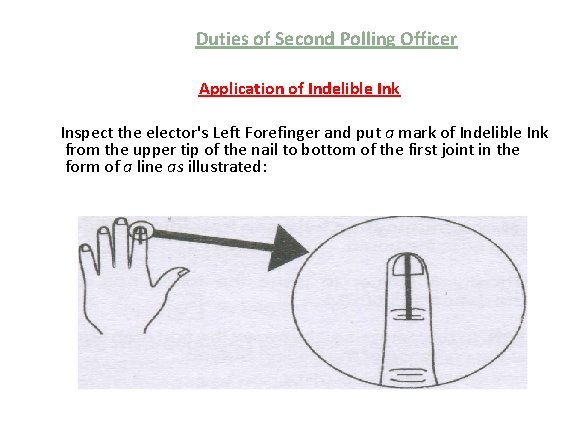 Duties of Second Polling Officer Application of Indelible Ink Inspect the elector's Left Forefinger