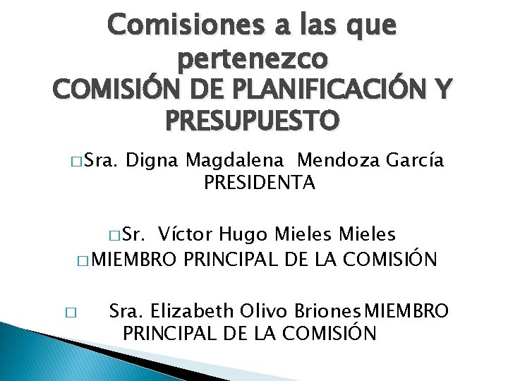 Comisiones a las que pertenezco COMISIÓN DE PLANIFICACIÓN Y PRESUPUESTO � Sra. Digna Magdalena