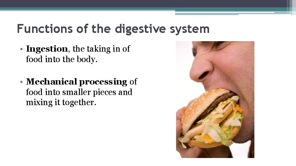 Functions of the digestive system • Ingestion, the taking in of food into the