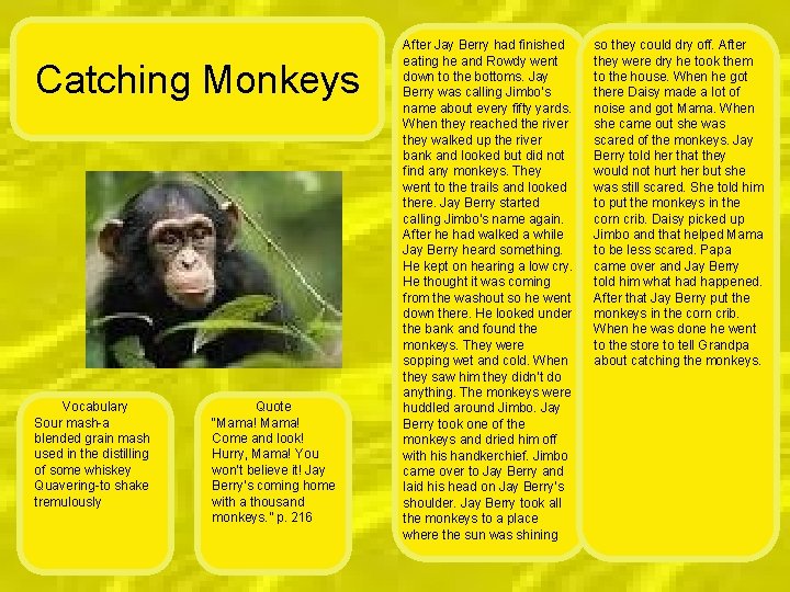 Catching Monkeys Vocabulary Sour mash-a blended grain mash used in the distilling of some