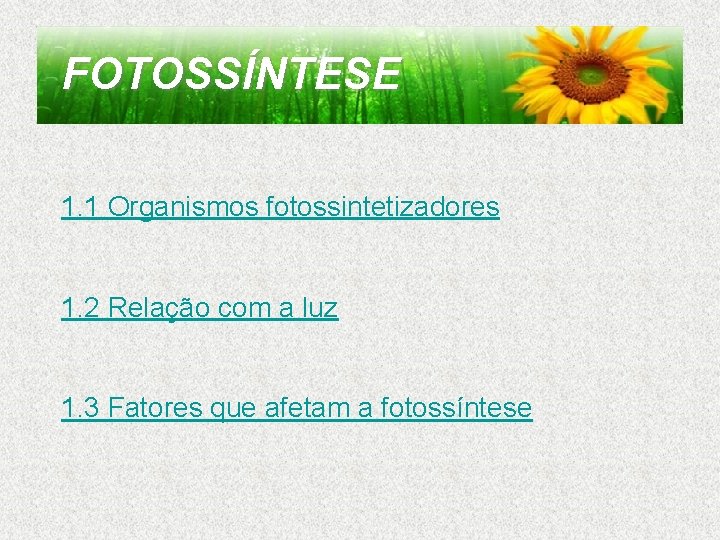 FOTOSSÍNTESE 1. 1 Organismos fotossintetizadores 1. 2 Relação com a luz 1. 3 Fatores