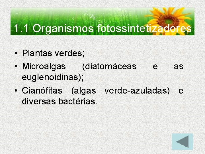 1. 1 Organismos fotossintetizadores • Plantas verdes; • Microalgas (diatomáceas euglenoidinas); • Cianófitas (algas