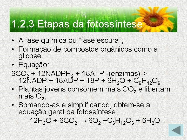 1. 2. 3 Etapas da fotossíntese • A fase química ou "fase escura“; •