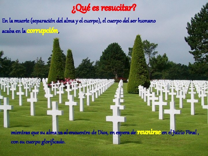 ¿Qué es resucitar? En la muerte (separación del alma y el cuerpo), el cuerpo ¿Qué es resucitar? En la muerte (separación del alma y el cuerpo), el cuerpo