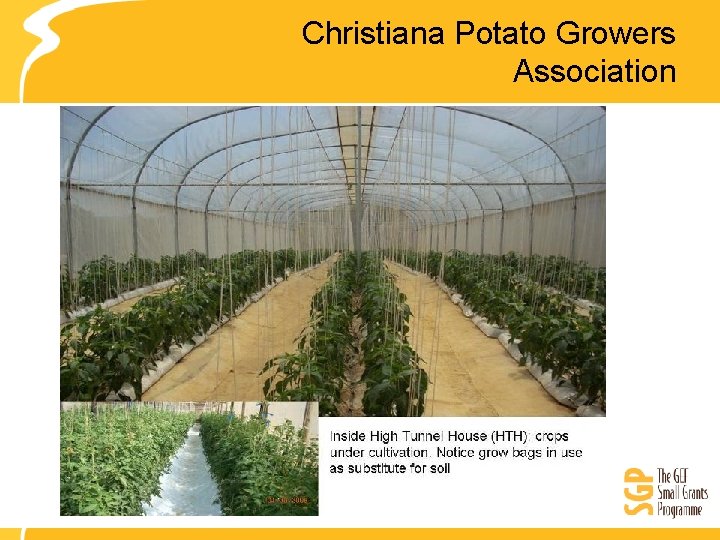 Christiana Potato Growers Association 