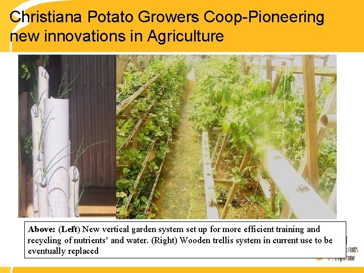 Christiana Potato Growers Coop-Pioneering new innovations in Agriculture Above: (Left) New vertical garden system