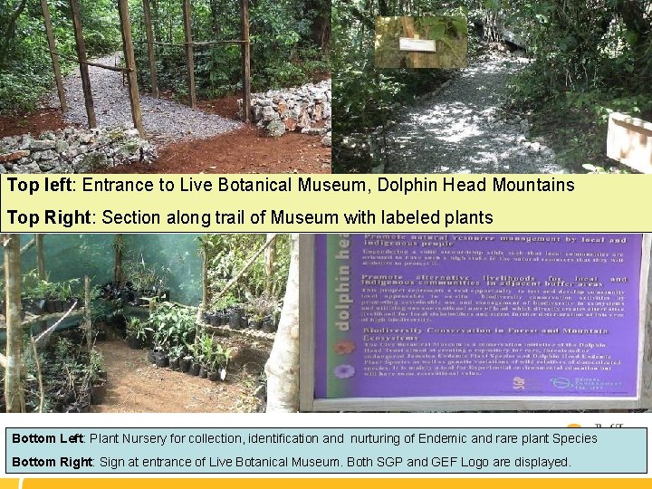 Top left: Entrance to Live Botanical Museum, Dolphin Head Mountains Top Right: Section along