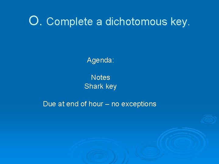 O. Complete a dichotomous key. Agenda: Notes Shark key Due at end of hour