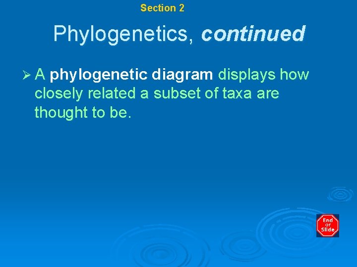 Chapter 17 Section 2 Systematics Phylogenetics, continued Ø A phylogenetic diagram displays how closely