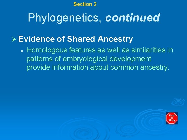 Chapter 17 Section 2 Systematics Phylogenetics, continued Ø Evidence of Shared Ancestry l Homologous