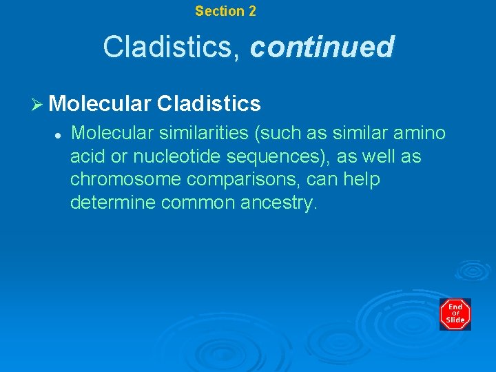 Chapter 17 Section 2 Systematics Cladistics, continued Ø Molecular Cladistics l Molecular similarities (such