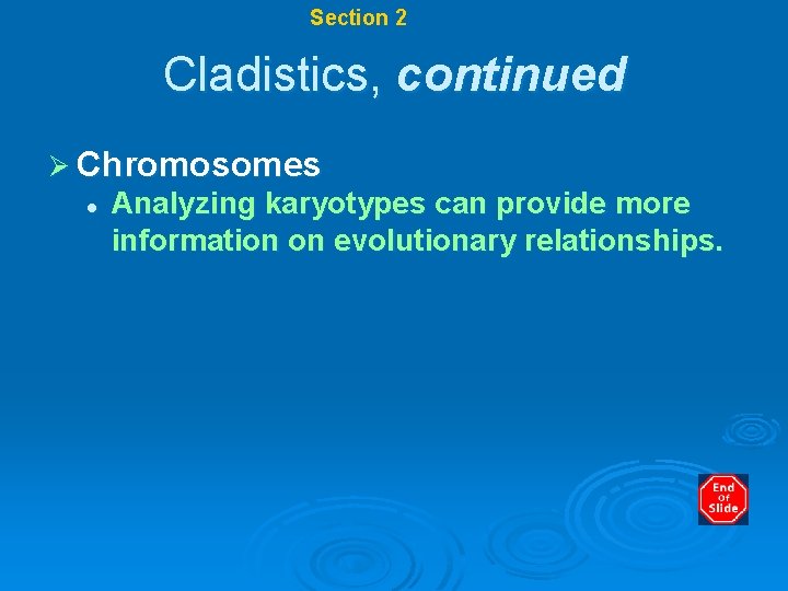 Chapter 17 Section 2 Systematics Cladistics, continued Ø Chromosomes l Analyzing karyotypes can provide