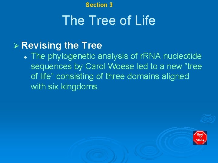 Chapter 17 Section 3 Modern Classification The Tree of Life Ø Revising the Tree