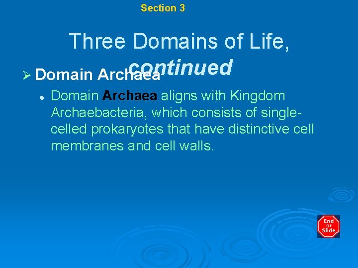 Chapter 17 Section 3 Modern Classification Three Domains of Life, continued Ø Domain Archaea