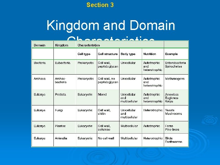 Chapter 17 Section 3 Modern Classification Kingdom and Domain Characteristics 