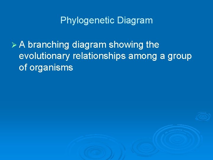 Phylogenetic Diagram Ø A branching diagram showing the evolutionary relationships among a group of