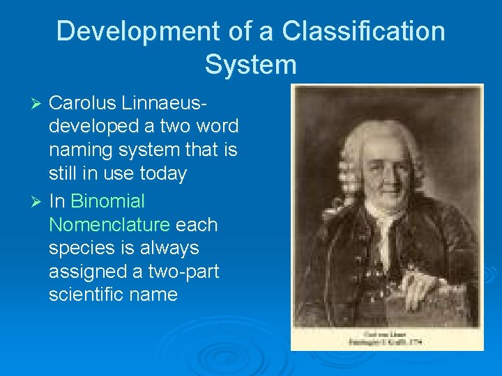 Development of a Classification System Carolus Linnaeusdeveloped a two word naming system that is