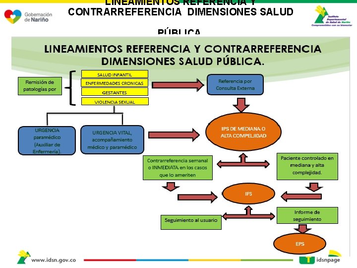 LINEAMIENTOS REFERENCIA Y CONTRARREFERENCIA DIMENSIONES SALUD PÚBLICA. 