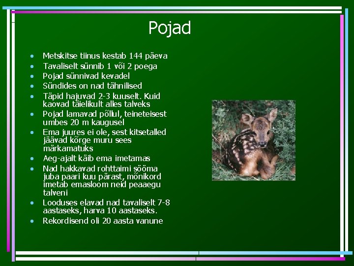 Pojad • • • Metskitse tiinus kestab 144 päeva Tavaliselt sünnib 1 või 2