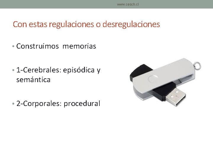 www. cesch. cl Con estas regulaciones o desregulaciones • Construimos memorias • 1 -Cerebrales: www. cesch. cl Con estas regulaciones o desregulaciones • Construimos memorias • 1 -Cerebrales: